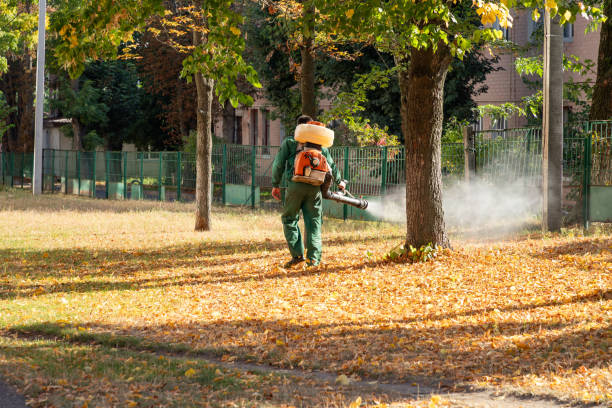 Best Best Pest Control Companies  in Centerport, NY